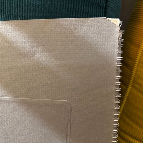 Catalogue Monograph, Spiralbound, Barbara Blondeau 1938-1974, 1976 Printing - Picture 3 of 12